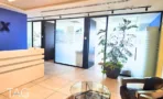 לובי קבלה במשרד להשכרה במגדלי אלון עם קיר כחול, דלפק בהיר וצמח גדול