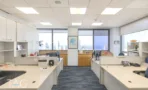 חלל עבודה פתוח עם עמדות מחולקות במחיצות נמוכות, שטיח אפור וחלונות לנוף העיר