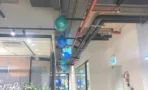 משרד להשכרה 280 מ
