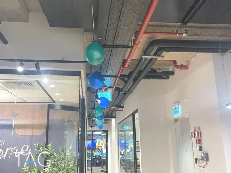 משרד להשכרה 280 מ