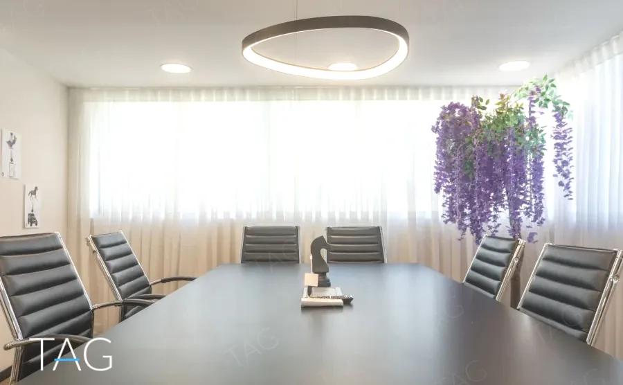 שולחן ישיבות מול וילונות בהירים וצמחייה תלויה במשרד להשכרה באזור רוטשילד