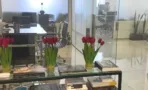 מחיצות זכוכית בין חלל עבודה פתוח לפינת קבלה, במשרד להשכרה 173 מ