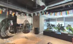 משרד להשכרה 430 מ״ר במגדלי הארבעה, פינת לאונג׳ עם נדנדות תלויות וקיר צמחייה