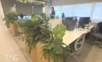 משרד להשכרה 650 מר בבית יכין