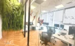 משרד להשכרה 280 מ״ר במגדל WE, חדר עבודה עם קיר צמחייה ירוק ועמדות מחשב