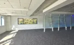 חלל פתוח ריק עם שטיח אפור, רצועת חלונות שנשקפת ממנה צמחייה ומחיצות זכוכית מודפסת - משרד 918 מר, אריה שנקר מרכז גב ים הרצליה - תג נכסים