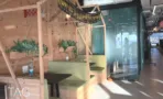 חלל פתוח עם מבנה עץ, ספסלים ירוקים ותקרה חשופה