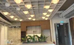 אזור אירוח במגדל אייקון, תקרה משובצת עם גופי תאורה כדוריים וארונות עץ