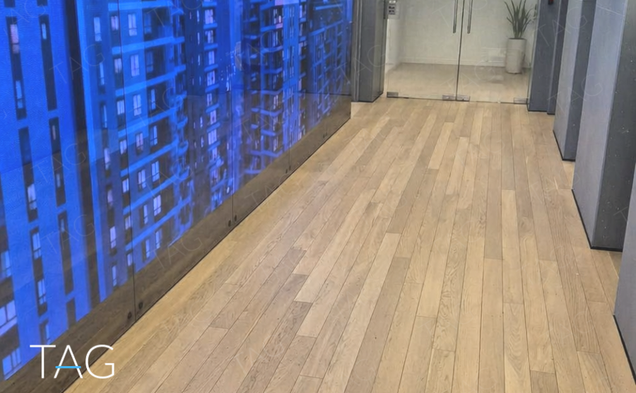 משרד להשכרה 500 מר בבית אמריקה, מסדרון עם קיר מסך כחול ורצפת עץ - תג נכסים